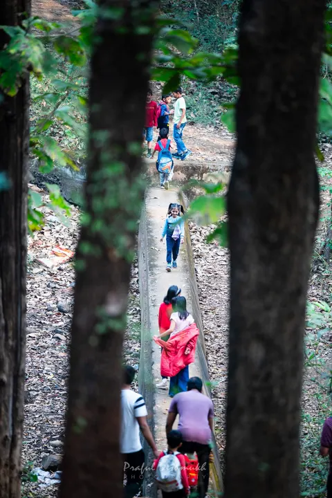 Eco Steps